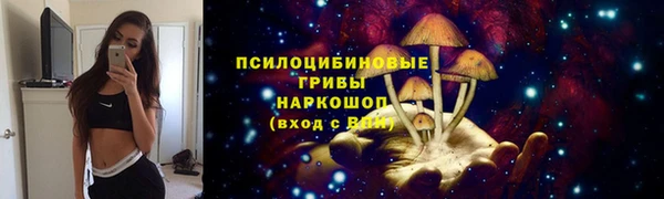 дурь Богданович