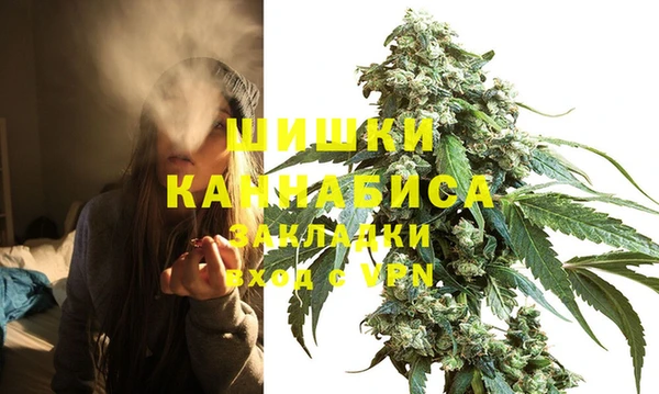 дурь Богданович