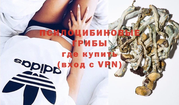 марки lsd Богородицк