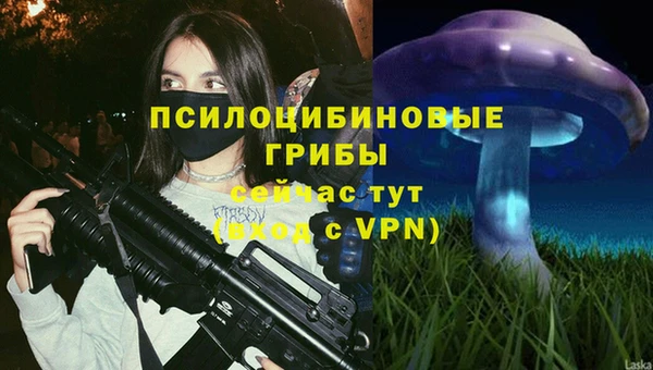 дурь Богданович