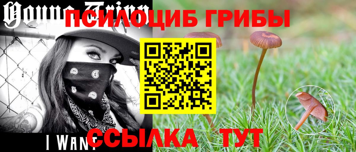 Псилоцибиновые грибы MAGIC MUSHROOMS Армавир