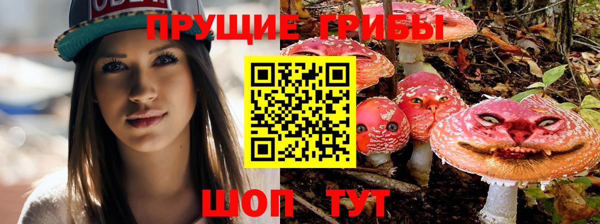 Галлюциногенные грибы Magic Shrooms  даркнет сайт  Армавир 