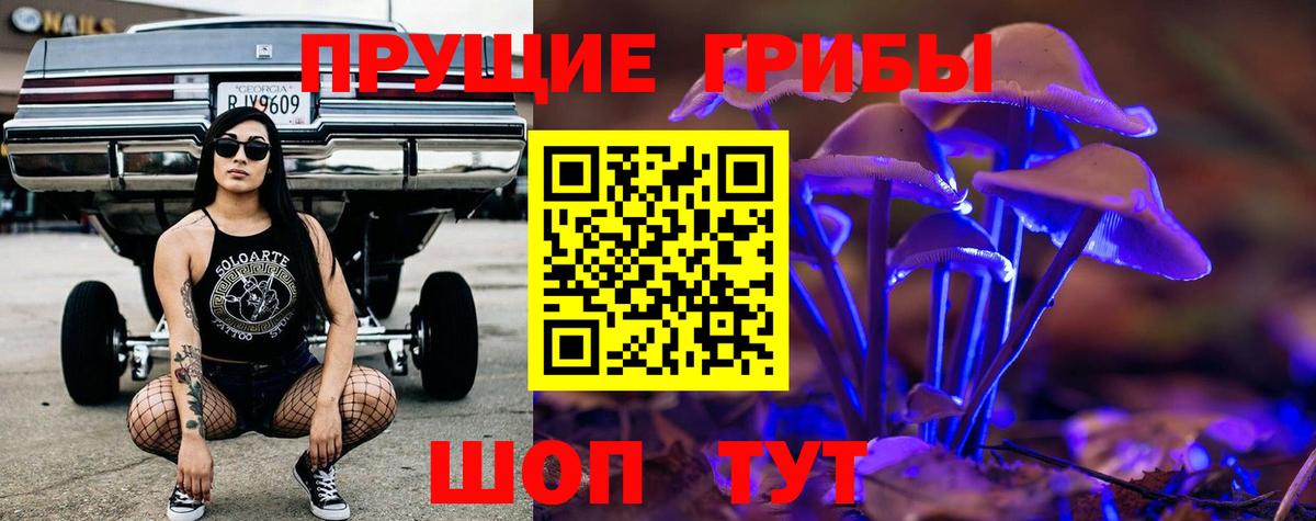 Галлюциногенные грибы Cubensis Армавир